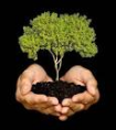 /album/fotogaleria/reforestacion1-png1/
